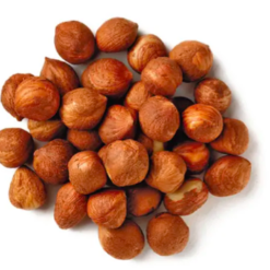 Raw Hazelnut Kernels Wholesale