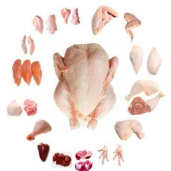 Halal Frozen Chicken Parts