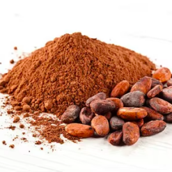 Raw / Natural, Alkalized Cocoa Powder Wholesale